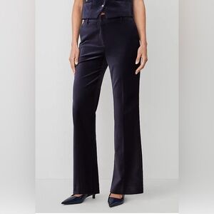 Ann Taylor ‘The Jayne’ Midnight Blue Flare Leg Velvet Pants